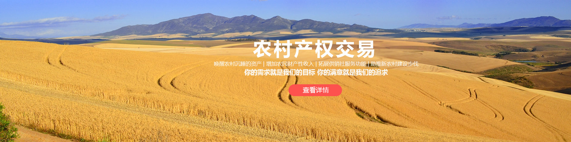 网站首页