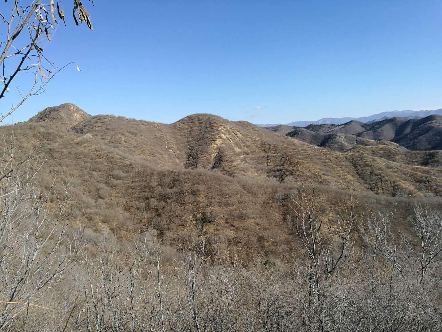 承德縣三溝鎮北杖子村林地326畝尋求出租