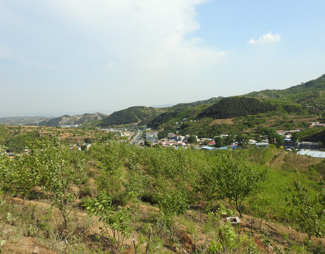 承德市雙橋區水泉溝鎮山神廟村15畝果園對外出租