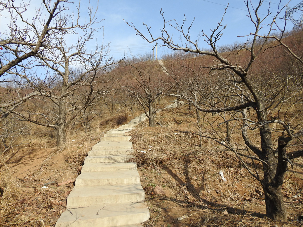承德市雙橋區水泉溝鎮水泉溝村30畝荒山對外出租